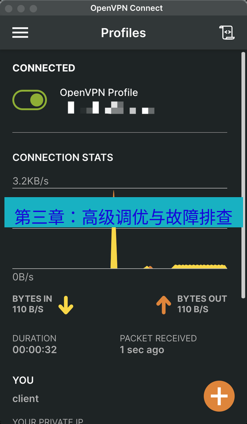 快连VPN 第三章：高级调优与故障排查
